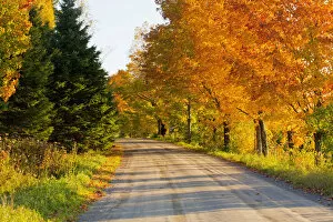 Country road in autumn, West Bolton, Quebec, Canada