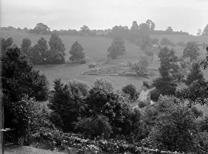 Country View