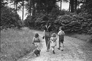 Country Walk