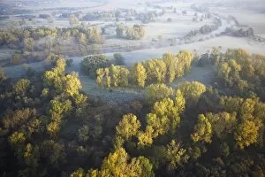 Forests Collection: Countryside in autumn