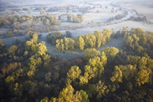 Evenings Gallery: Countryside in autumn
