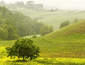 Images Dated 23rd May 2008: Countryside in mist, Chianti, Toscana, Italy