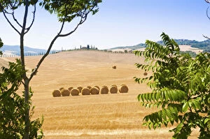 Images Dated 8th July 2015: Countryside near Gallina, Siena province, Tuscany, Italy