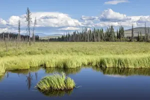 Lakeside Prints: Countryside at the Taylor Highway, near the Chicken settlement, Alaska, United States