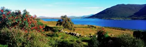 County Mayo, Ireland, Near Mulranny