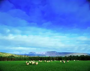 County Wicklow, Ireland