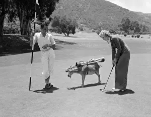 Couple Playing Golf with Goat Caddy