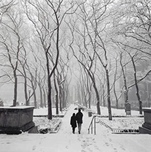 Walking Gallery: Couple walking in snow-covered park, New York City