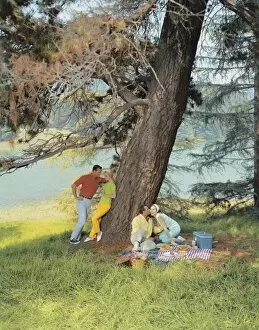 Couples resting under tree