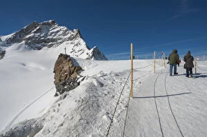 Images Dated 28th February 2012: couples walking to the Jungfrau viewpoint