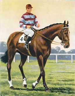 Racetrack Prints: Couvert