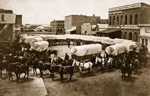 Covered Wagons