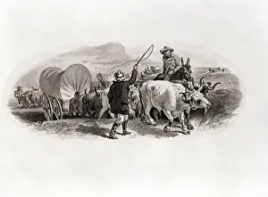 Covered Wagons Cross The Plains
