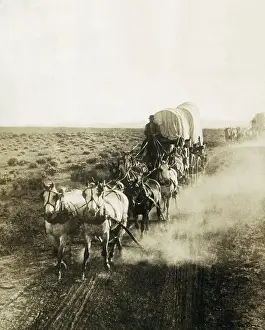 Americana Prints: Covered Wagons on the Plains Going West