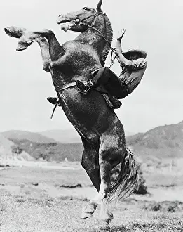 Risk Prints: Cowboy on a Rearing Bronco