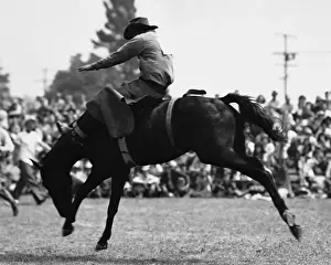 Risk Prints: Cowboy riding bucking horse