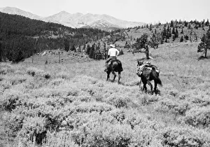 Trail Prints: Cowboy riding horse, with second hold on reins, (B&W)