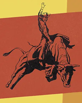 Horseback Riding Gallery: Cowboy Riding a Steer