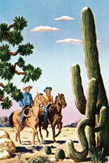 Horseback Riding Collection: Cowboys in the desert