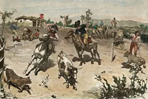 Ranch Prints: Cowboys Roping Cattle