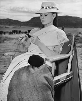 Prints of 1960: Belgian-born actress Audrey Hepburn (1929 - 1993) knitting during a break in the production of director John Huston's film, The Unforgiven. (Photo by Hulton Archive/Getty Images) Elegance Personified – A Classic Art Print Collection: Cowherd