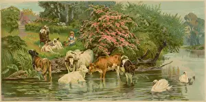 Bovine Prints: Cows and swans with a little girl