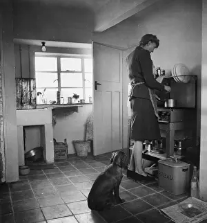 Appliance Prints: Cowshed Kitchen