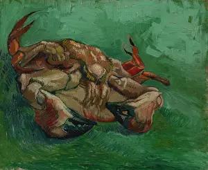 Prints of A Crab on its Back. Found in the Collection of Van Gogh Museum, Amsterdam. (Photo by Fine Art Images/Heritage Images/Getty Images) Echoes of Genius: Timeless Reproductions of a Master’s Vision: A Crab On Its Back