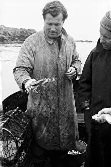 Sea Creature Prints: Crab Fishing