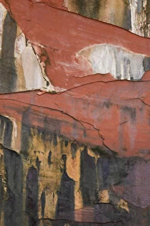 Images Dated 30th October 2011: Cracked red stone in Kolob Canyon, Zion National Park, Utah, USA