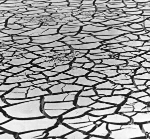 Ansel Adams Wilderness Landscapes Gallery: Cracked River Bed