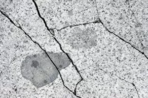 Images Dated 3rd February 2013: Cracks in granite, frost shattering, Petermann Island, Antarctic Peninsula, Antarctica
