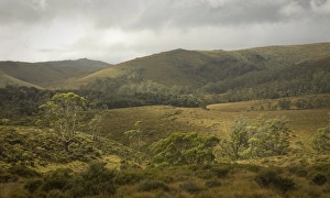 Images Dated 2008 April: 12 Apr 2008