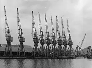 Fox Photo Library Collection: Cranes In Line