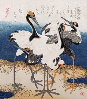 Woodblock Prints: Five Cranes at the Water's edge