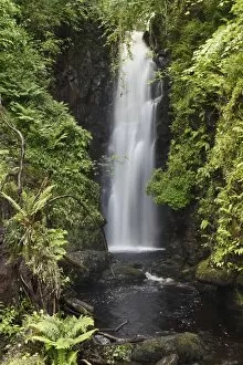 Images Dated 28th May 2011: Cranny Falls near Carnlough, County Antrim, Northern Ireland, Great Britain, Europe, PublicGround