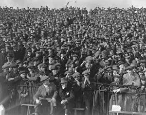 Craven Cottage Crowd