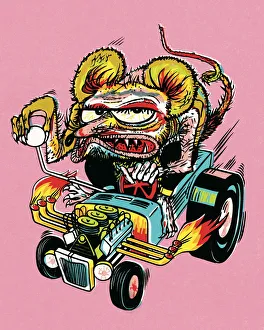 Pest Collection: Crazy person driving