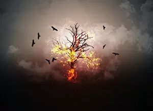 Images Dated 22nd April 2016: Creative burning tree with flying birds