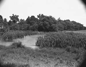 Creek and field, (B&W)