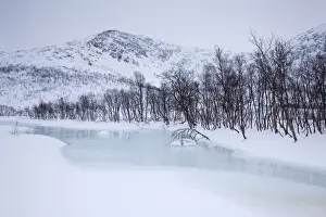 Mountain Pass Prints: Creek on Kattfjord pass in winter, Kvaloya, Tromso, Norway, Europe