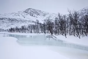 Images Dated 18th February 2012: Creek on Kattfjord pass in winter, Kvaloya, Tromso, Norway, Europe