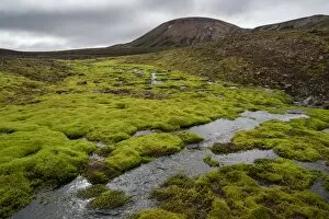 Volcanism Gallery: Creek surrounded by moss, rhyolite mountains, Landmannalaugar, Fjallabak Nature Reserve