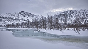 Images Dated 6th March 2012: Creek in winter, Norway, Europe