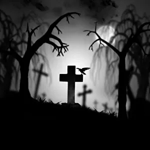 Ideas Gallery: Creepy old cemetery at night