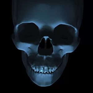 Creepy skull, 3D illustration