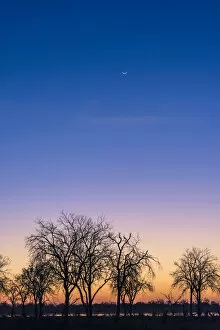 Images Dated 15th September 2015: Crescent moon at sunset over Khwai River, Khwai Concession, Okavango Delta, Botswana