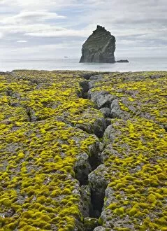 Images Dated 2nd September 2011: Crevice, moss-covered lava and rocks in the sea, Reykjanes, Iceland