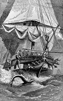 Crew of Charles Darwin's Ship Shark Fishing
