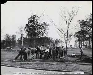 Crew Prints: Crew Of Men Planting Trees
